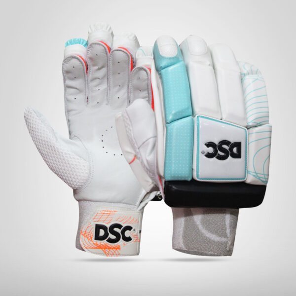 DSC Intense Shoc