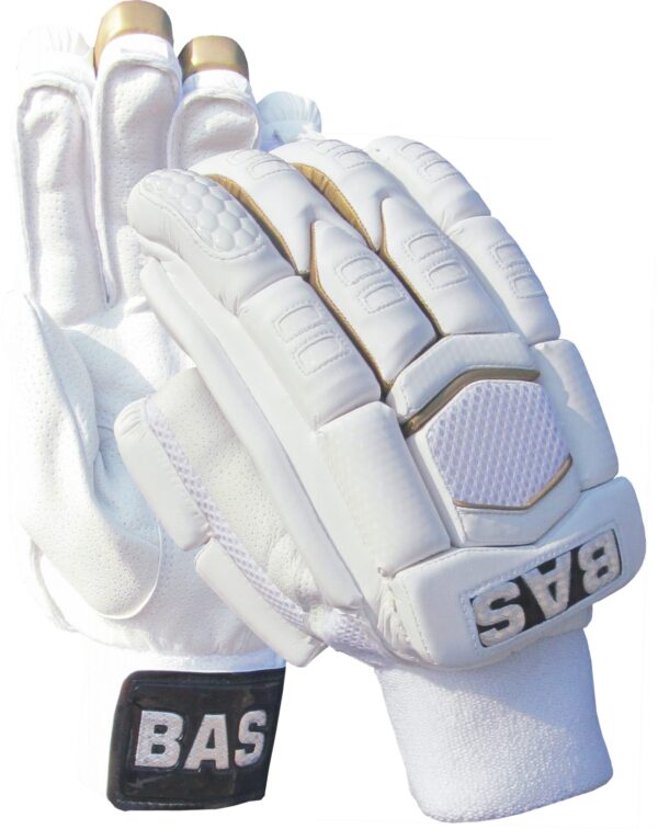 BAS BG Player