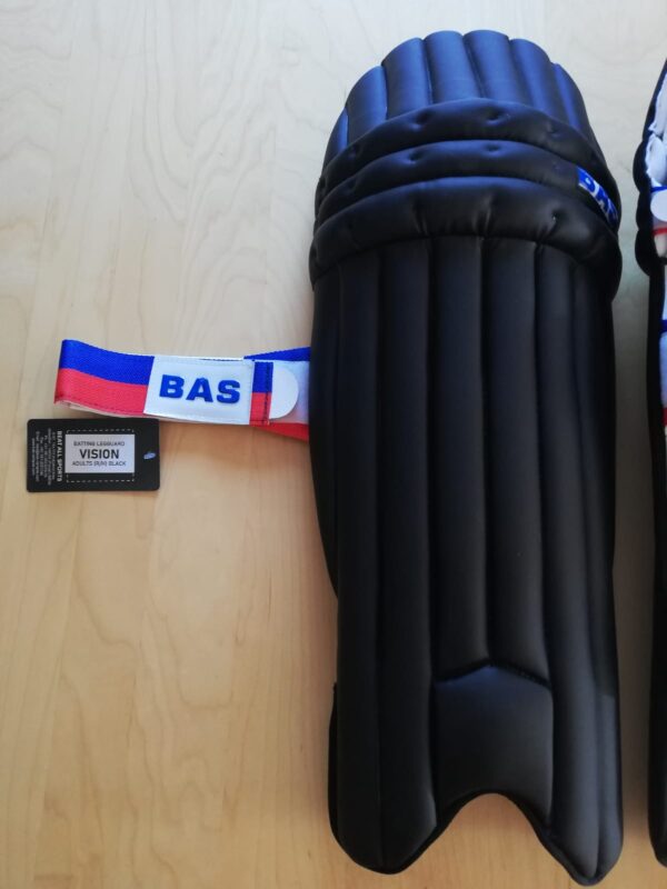 BAS BLG Vision