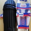 BAS BLG Vision