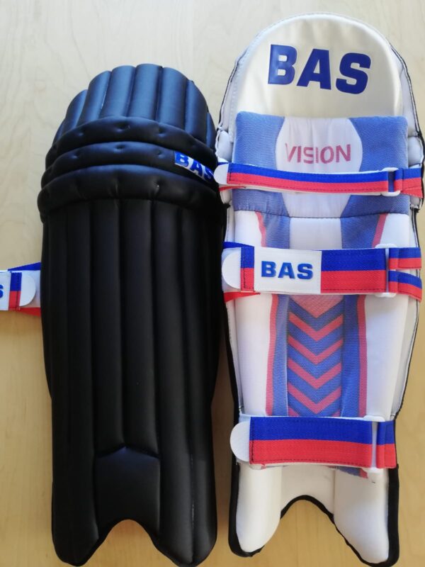 BAS BLG Vision