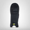 DSC BLG Condor Flite
