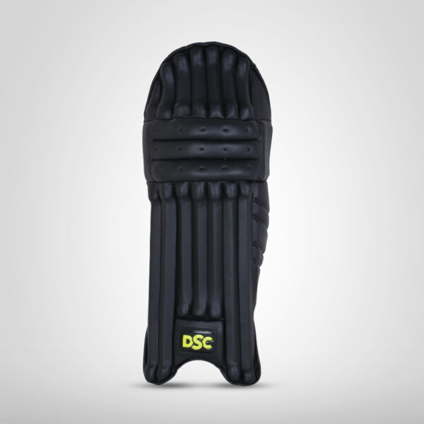 DSC BLG Condor Flite