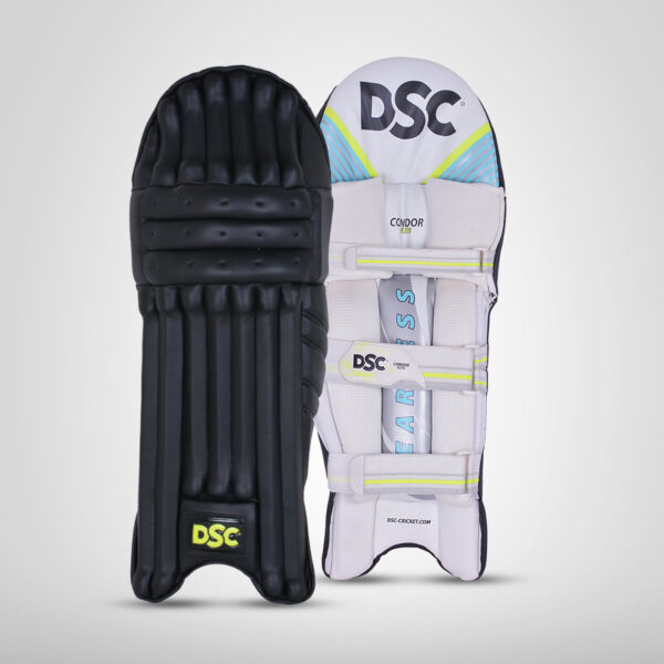 DSC BLG Condor Flite