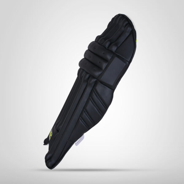 DSC BLG Condor Flite