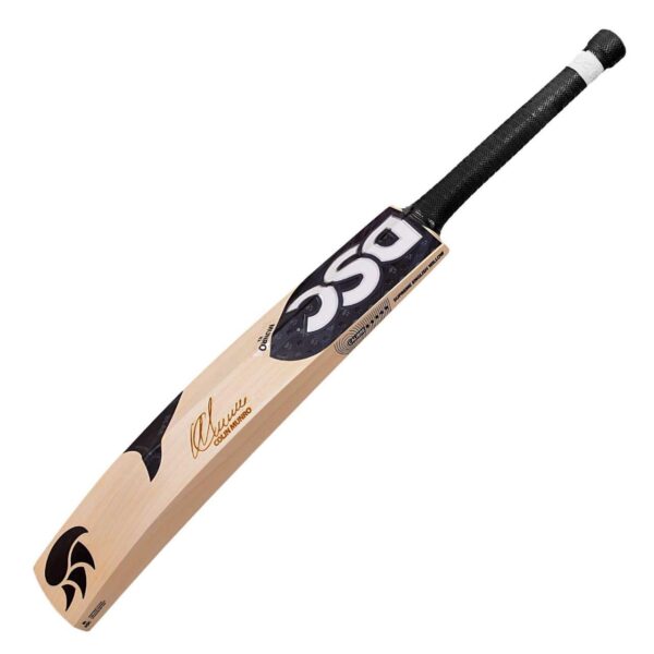DSC EW Player Edition