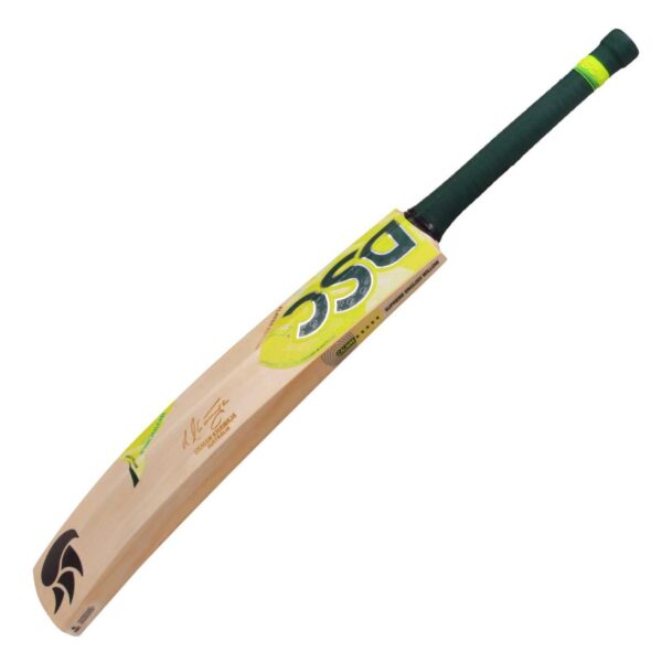 DSC EW Player Edition