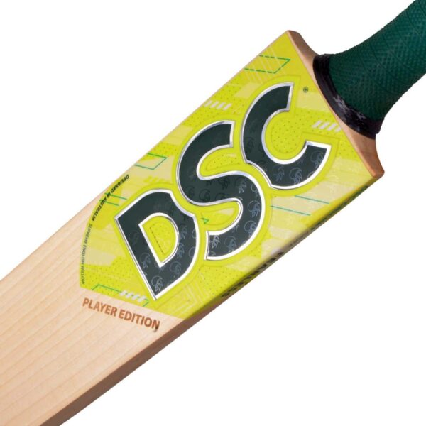 DSC EW Player Edition