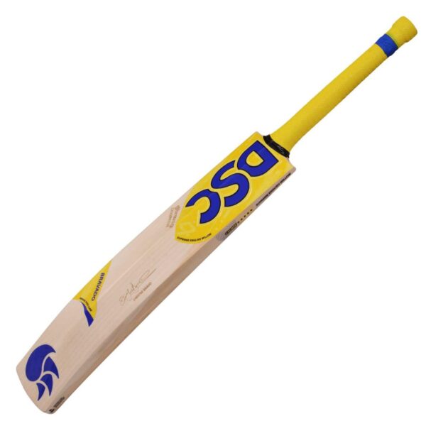 DSC EW Player Edition