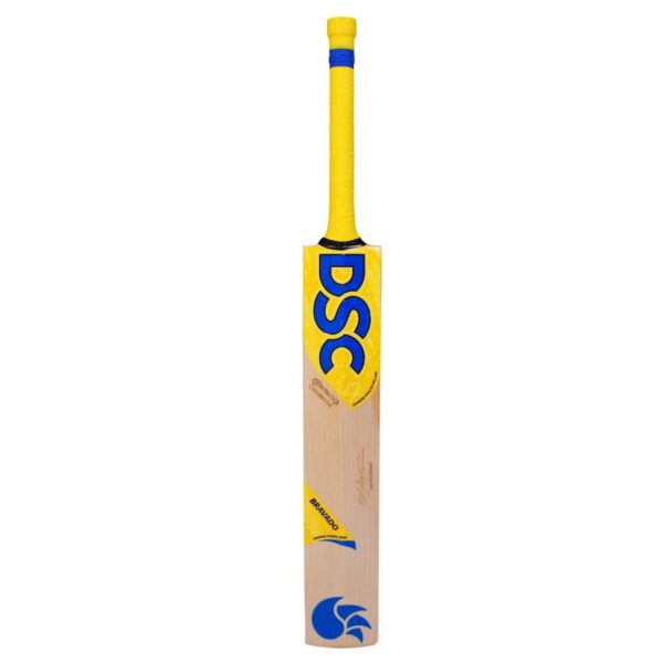 DSC EW Player Edition