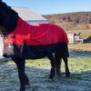 BergReiter Classic Regendecke