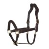 BergReiter Lederhalfter Professional