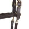 BergReiter Lederhalfter Professional