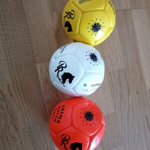 BR-Polo Arena Ball