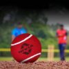 6x Nivia heavy Tennis-Cricket ball red