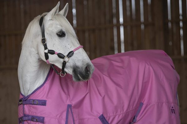 Indira Winterdecke 100g 155cm Highneck