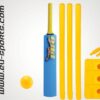 All weather Cricket set for kids