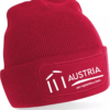 Cricket Beanie